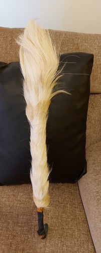 Traditional horse tail - horse, nza