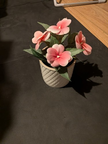 Small flower pot - /, from