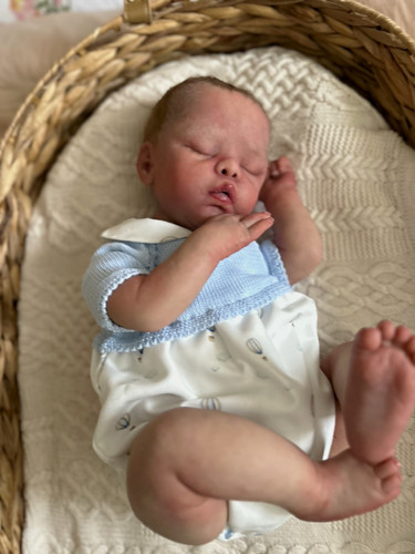 The sili cradle - the,
