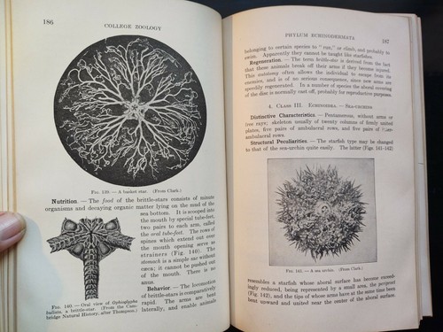 College zoology robert - college, zoology.