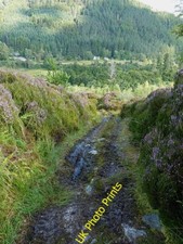 Photo 6x4 An Argocat track