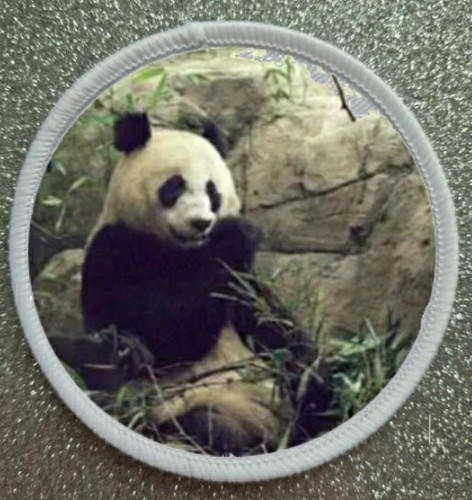 Endangered species the - endangered,