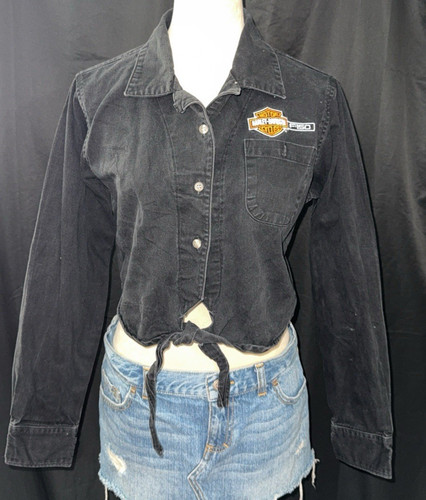 Harley davidson ford 150 - harley,