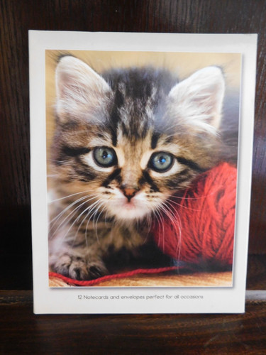 Perfect for cat lovers set - perfect,