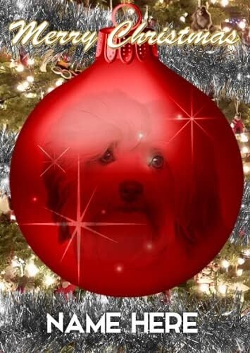 Havanese dog bauble merry - bauble,