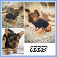 XXXS Tiny Puppy Size Knit Coat
