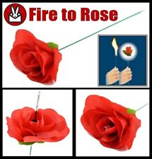 FLAMING FIRE TORCH TO RED ROSE