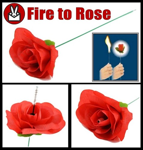 Flaming fire torch red rose - flaming,