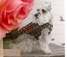 Vintage Knitting Pattern Dogs