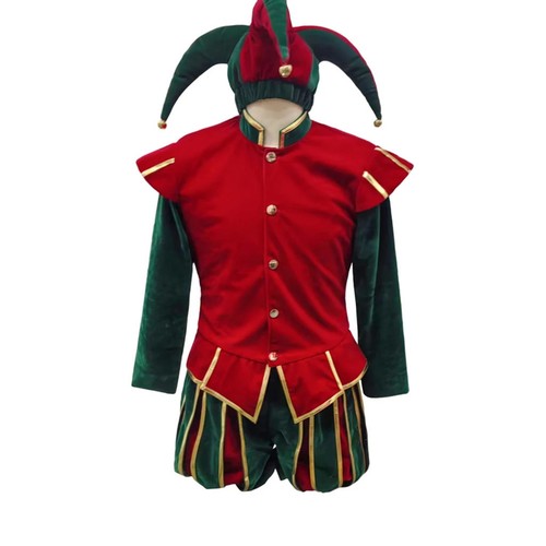 Jester costume with hood - jester,