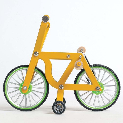 Parrot bike trick training - bike,