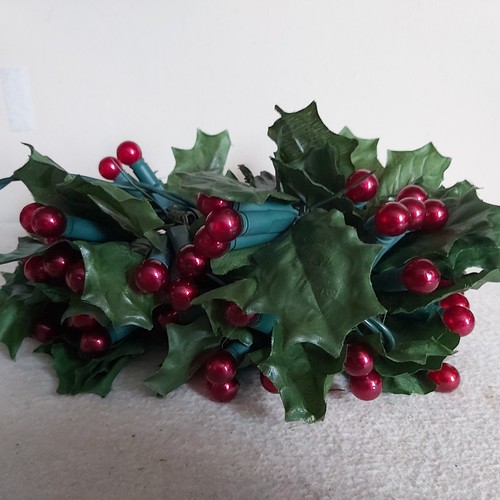 Deluxe red holly berry - 60,