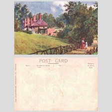 Vintage Postcard - Sparrow's