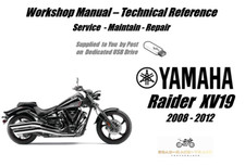 Yamaha Raider XV19 Service