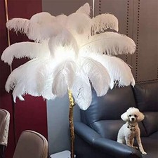 5pcs Ostrich Feathers