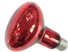 Fengrun Infrared Heat Lamp 100 watt Red Hard Glass Waterproof Explosion-Proof Li