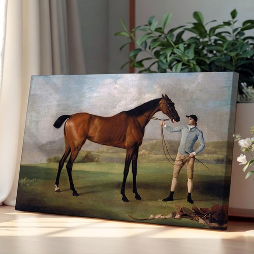 Molly long legs george stubbs - molly,