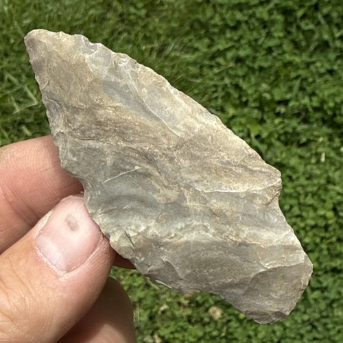 Indian arrowhead beavertail - arrowhead,