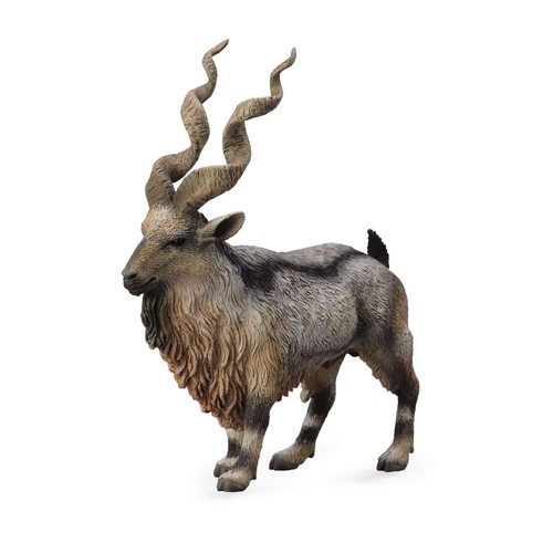 Collecta tadjik markhor - tadjik,
