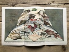 Original Mid Century Book Plate/Print Fishmonger’s Display Slab MacFisheries 