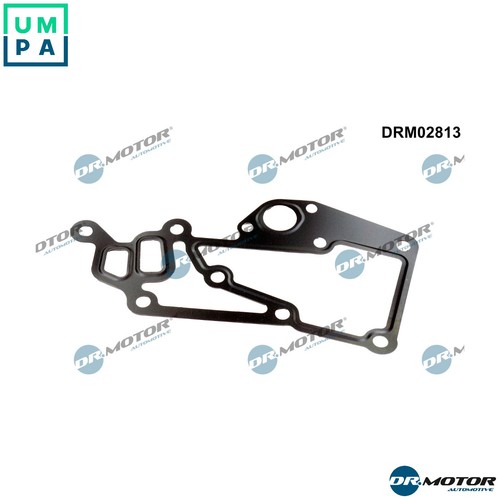 Gasket thermostat housing - gasket,