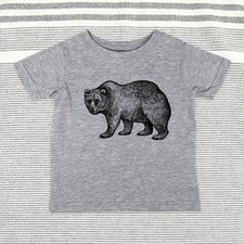 Bear Illustration zoo animal -