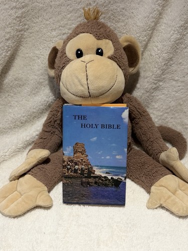The holy bible illustrated - holy,