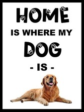 Labrador home is where my dog