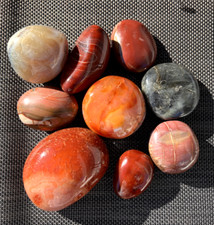 Mixed Natural Large Agate Palm