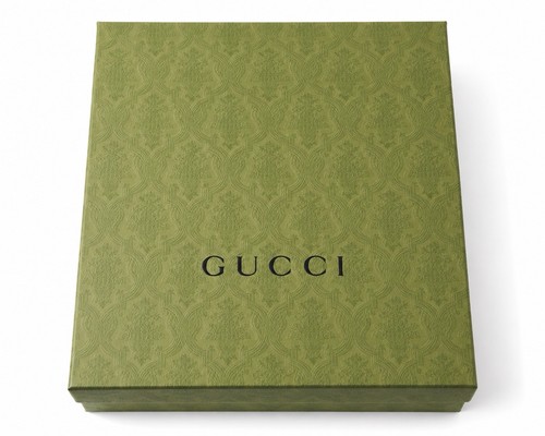 Gucci empty shoe box - shoe,