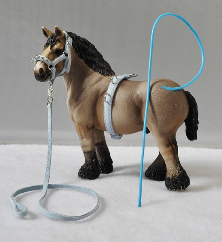 Blue leather lunging - , lunge