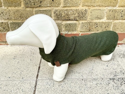 Miniature dachshund forest - miniature,