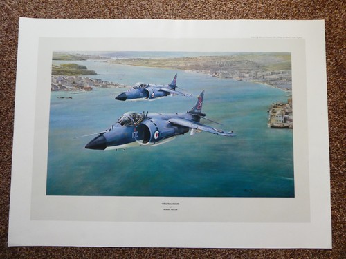 Sea harrier print - harrier, by