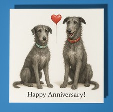 Scottish Deerhound - Happy