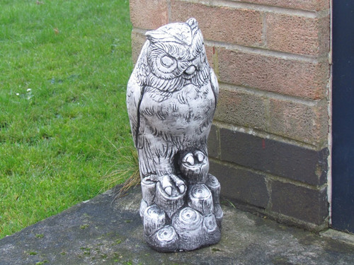 Owl perched tree stump - owl,