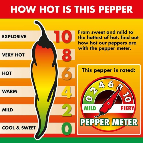 Chilli pepper seeds garden - pepper,