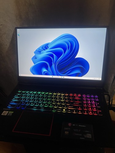 Msi ge75 raider 10sfs - ge75,