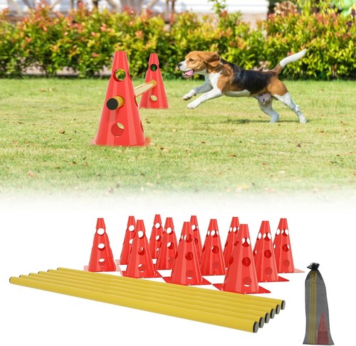 Agility equipment set cones - agility,