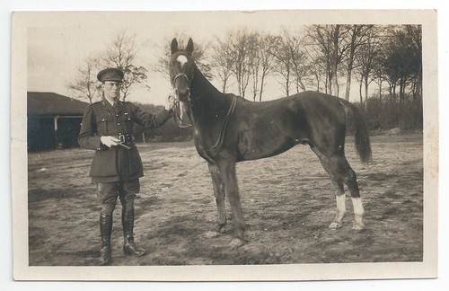 Ww1 royal artillery officer - ww1, +