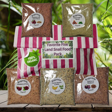 🌿 Favourite Five, Giant