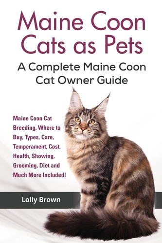 Maine coon cats pets - maine,