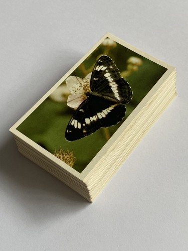 Vintage cigarette cards - vintage,