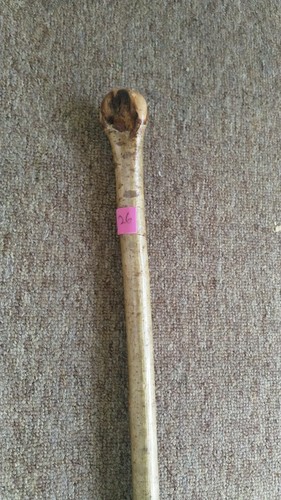 Irish hazel walking stick - hazel,