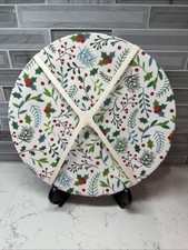 Christmas/Holiday/Winter