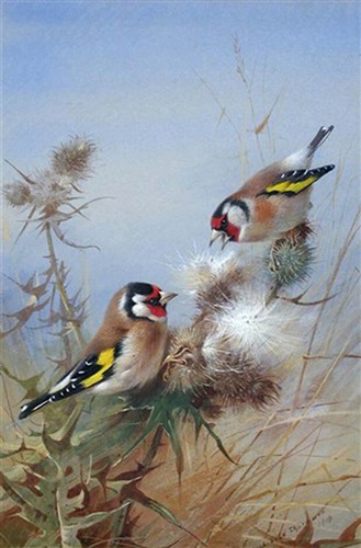 Archibald thorburn print - a4,