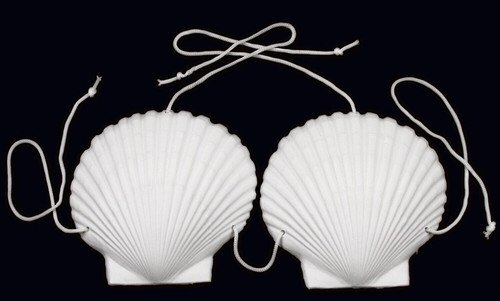 Adult sea shell bra costume - adult,