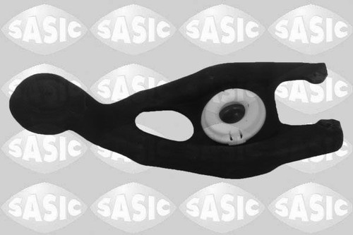 Release fork sasic 5400003 - fork,