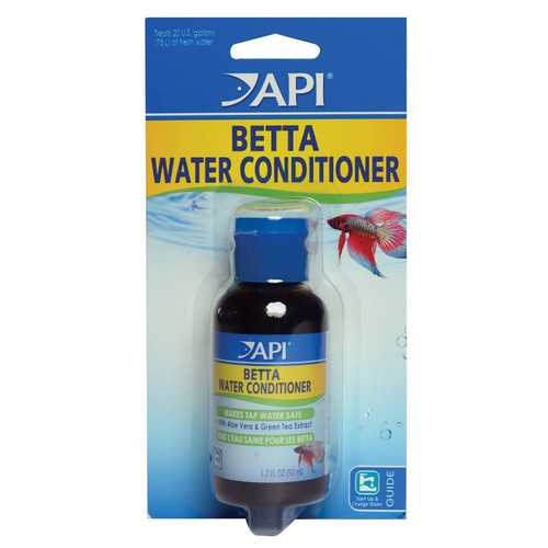 Api betta fish - betta,