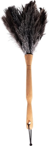 Home valet ozzie - home,