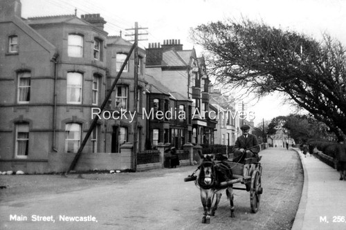 Rht donkey and cart - donkey,